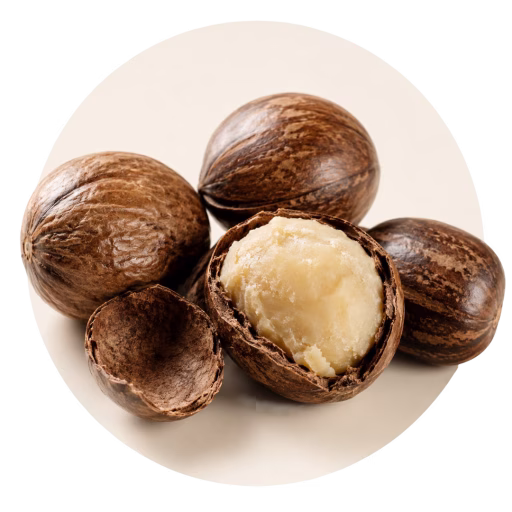 مغز شی - Shea Nuts