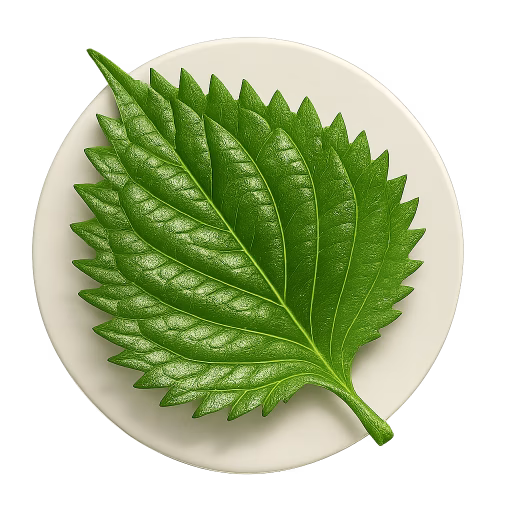شیسو - Shiso