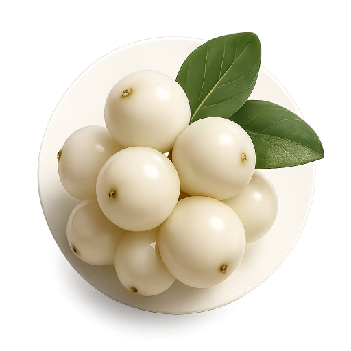 توت برفی - Snowberry