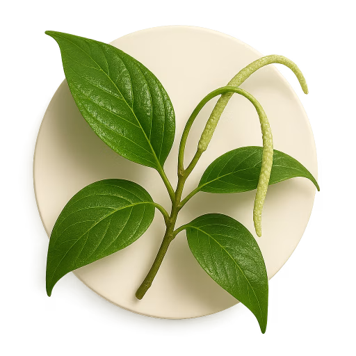 فلفل سنبله‌ای - Spiked Pepper