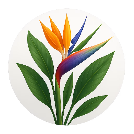 گل پرنده بهشتی - Strelitzia