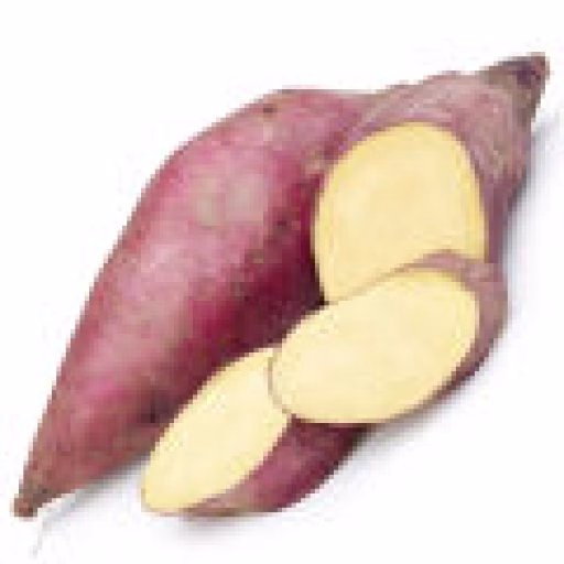 سیب‌زمینی شیرین - Sweet Potato