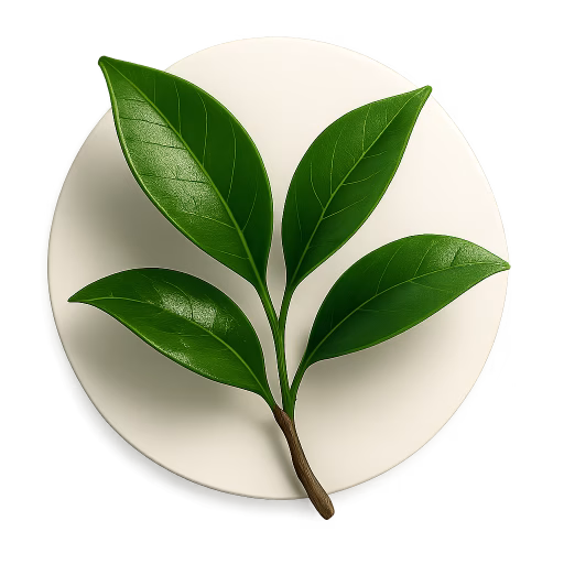برگ نارنگی - Tangerine Leaves