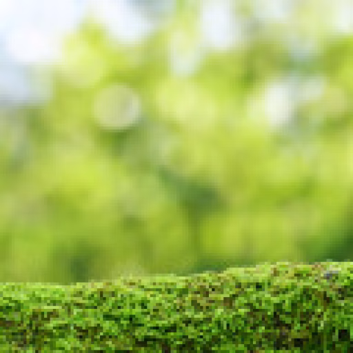 ترانول - Terranol