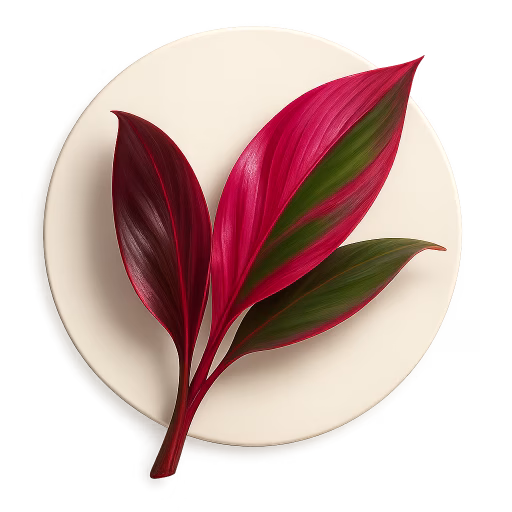 کوردیلین (برگ تی) - Ti Leaf (Cordyline)