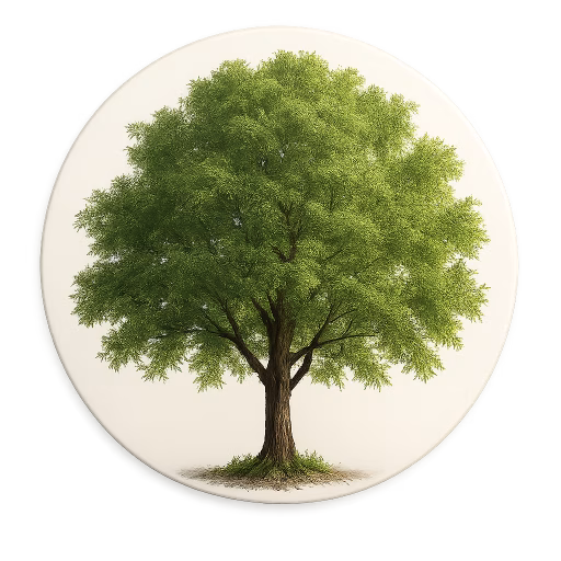درختان - Trees