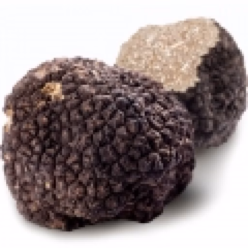 ترافل - Truffle