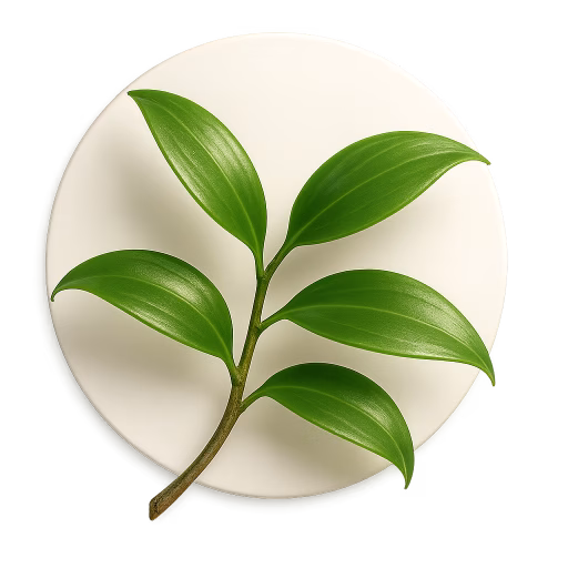 برگ وانیل غربی - Vanilla Leaves
