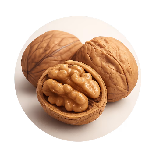 گردو - Walnut