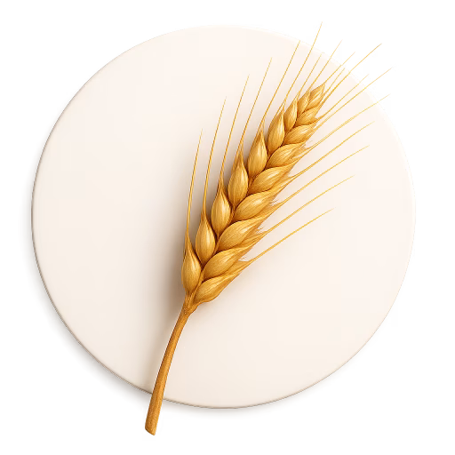 گندم - Wheat