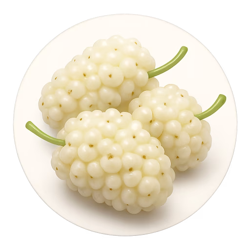 توت سفید - White Mulberry