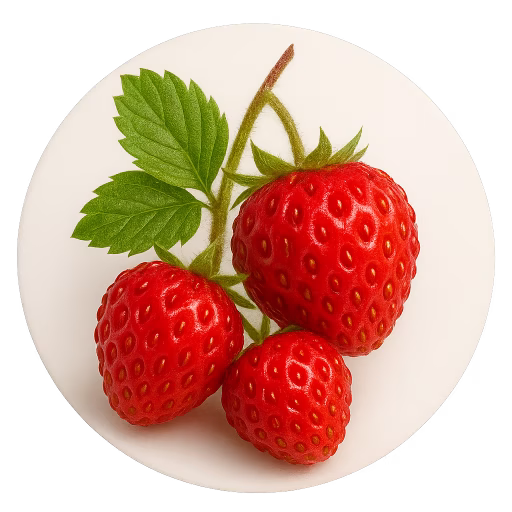 توت‌فرنگی وحشی - Wild Strawberry