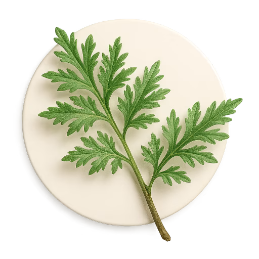 افسنطین - Wormwood