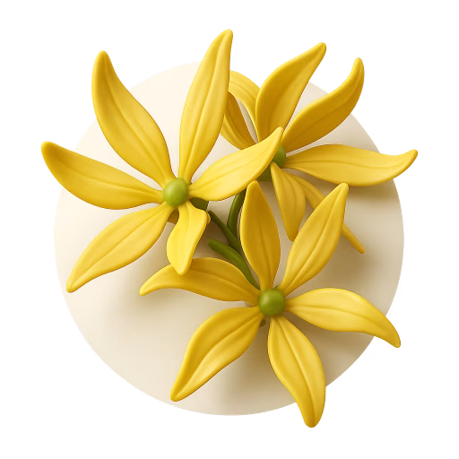 یلانگ یلانگ - Ylang-Ylang
