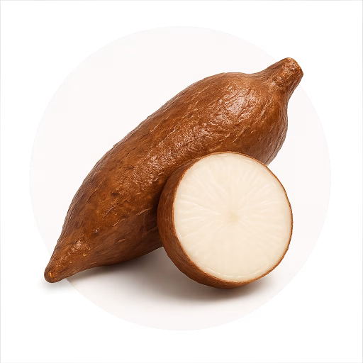 یوکا کاساوا - Yuca Cassava