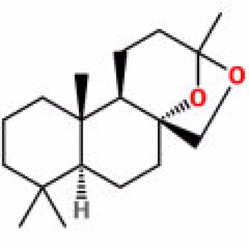 زد-۱۱ اچ‌دی - Z-11 HD