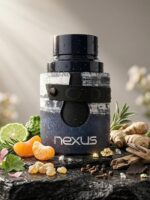 اودیسی نکسوس - Odyssey Nexus - تصویر 3