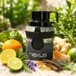 اودیسی نکسوس - Odyssey Nexus - تصویر 4