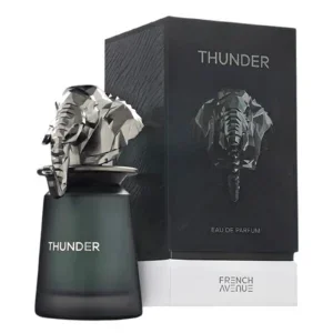 Thunder Perfume 100ml EDP French Avenue 175516875